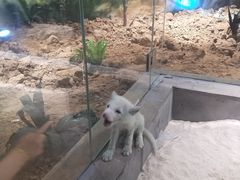 -苏州海洋馆