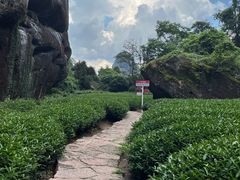 -武夷山风景名胜区-虎啸岩