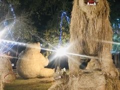 -清迈夜间动物园