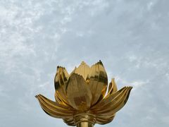 -金莲花广场