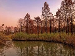 -梁鸿国家湿地公园