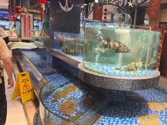 -海派美食·家宴海鲜青岛菜·石锅鲽鱼头(东方城店)