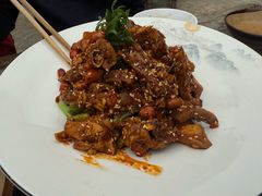 凉拌鸡-田园印象·成都土菜院子(华阳店)