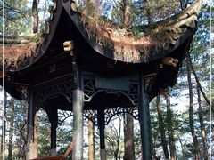 -四明山国家森林公园