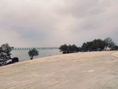 -宝安西湾红树林湿地公园