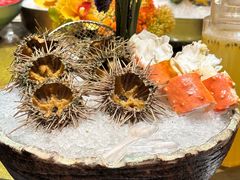 海胆-半岛翡丽海鲜自助餐厅(观风亭店)