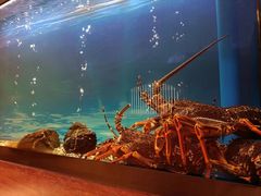 -西村日本料理(香格里拉饭店)