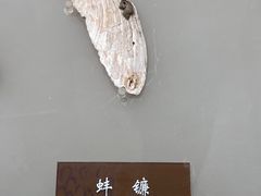 -中国农业博物馆