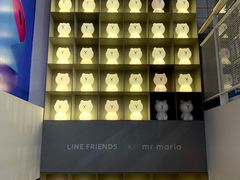 -line friends(明洞旗舰店)