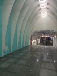 -金都微美·精准护肤·疗愈SPA