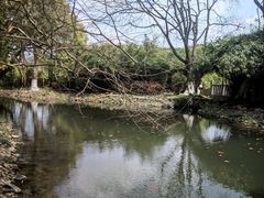 -八大山人梅湖景区