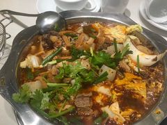 -古乐牛香·鲜牛肉牛杂火锅(新区店)