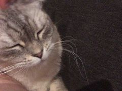 -脉冲品质汽美·贴膜(闵行店)