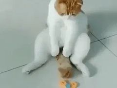 -潘国仙耳光馄饨(黄家阙路店)