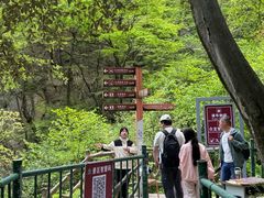 -洛阳白云山景区