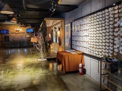 -长藤鬼校(龙翔店)