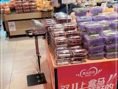 -盒马鲜生(大行宫店)