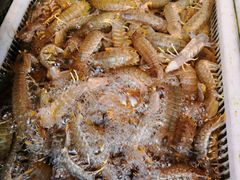 -沈家门海鲜夜排档(东港店)