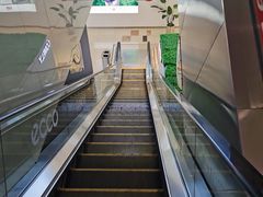 -新世界百货(顺义店)