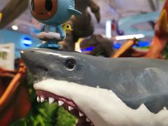 -TOYSRUS玩具反斗城(上海万象城店)