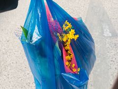 -双季花艺园艺市场(浦东店)