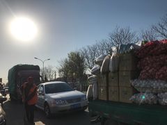 -北京新发地农产品批发市场-特菜交易厅