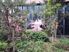 -悦隆庄温泉度假酒店