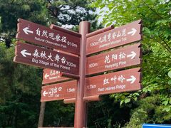 -北京西山国家森林公园