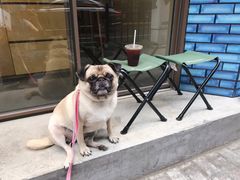 -Onirii Coffee(长乐路店)