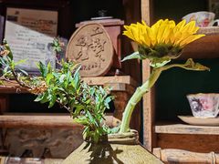 -樹下遇见树·咖啡