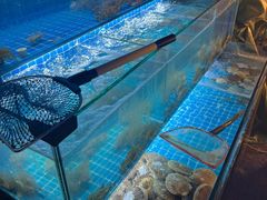 -玉园烧烤·海鲜辣炒