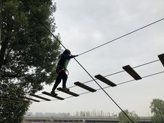 -秀丽东方