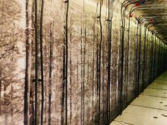 -杭州逸酒店(西湖武林店)