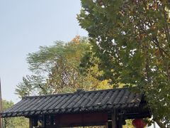 -后湖小院·乡野田园菜