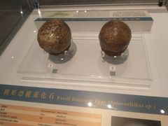 -香港科学馆