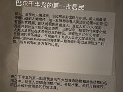 -塞尔维亚国家博物馆