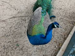 -静之湖湖畔餐厅