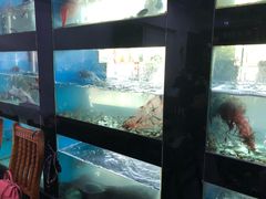 -全乐鱼馆·淳牌有机鱼直营店