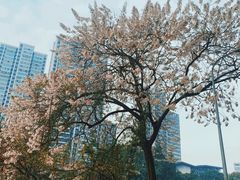 -成都市活水公园