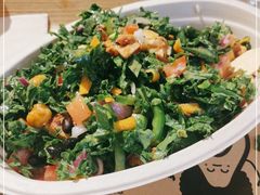 -油梨树AVOCADO TREE(嘉里中心店)