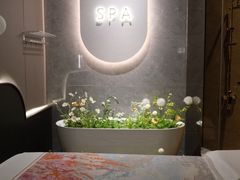 -小仙女采耳·按摩·SPA(深圳旗舰店)