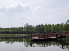 -东郊湿地公园