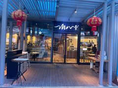 -MR鹅外