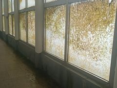 -大连冰峪旅游度假区