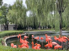 -石家庄市动物园