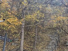 -阳台山自然风景区