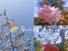 -南山植物园