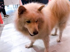 -肆兮眼镜·蔡司·徕卡战略合作店(大坪店)