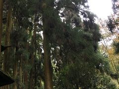 -青城山