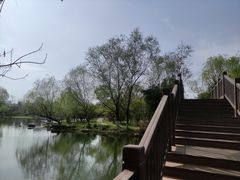 -洋湖国家湿地公园